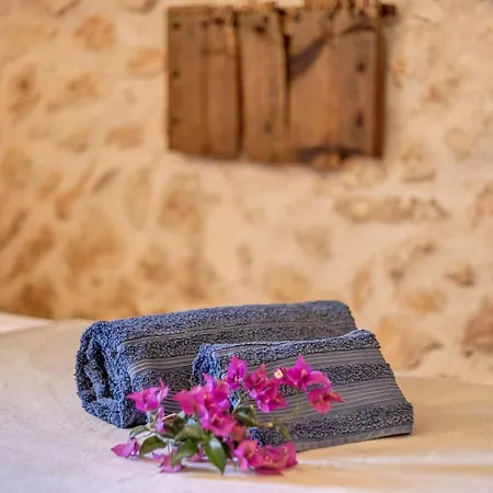Casita Els Sestadors 别墅 Alquería Blanca